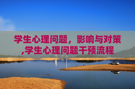 学生心理问题，影响与对策,学生心理问题干预流程