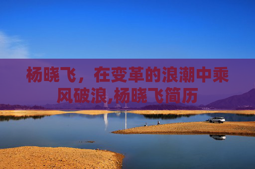杨晓飞，在变革的浪潮中乘风破浪,杨晓飞简历