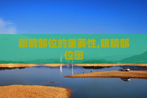 眼睛部位的重要性,眼睛部位图