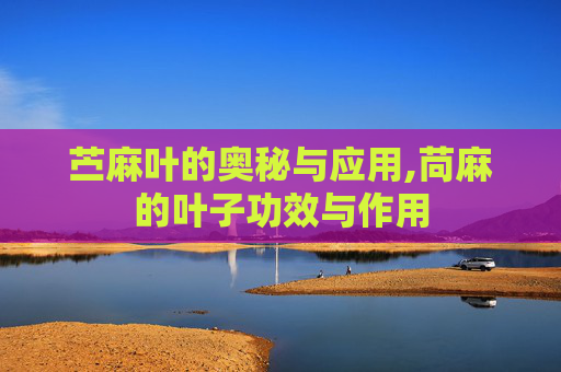 苎麻叶的奥秘与应用,苘麻的叶子功效与作用