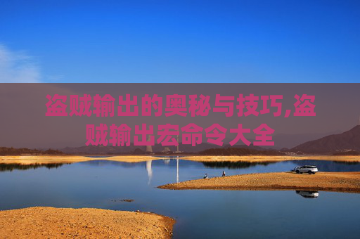 盗贼输出的奥秘与技巧,盗贼输出宏命令大全