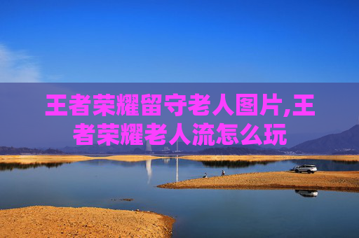 王者荣耀留守老人图片,王者荣耀老人流怎么玩