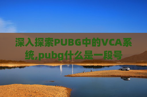 深入探索PUBG中的VCA系统,pubg什么是一段号