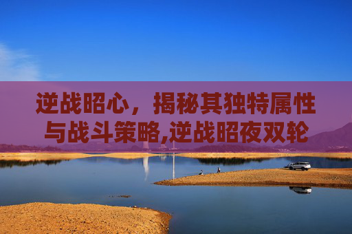 逆战昭心，揭秘其独特属性与战斗策略,逆战昭夜双轮使用教程图解大全最新