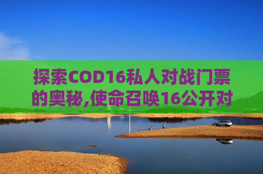 探索COD16私人对战门票的奥秘,使命召唤16公开对战是什么模式