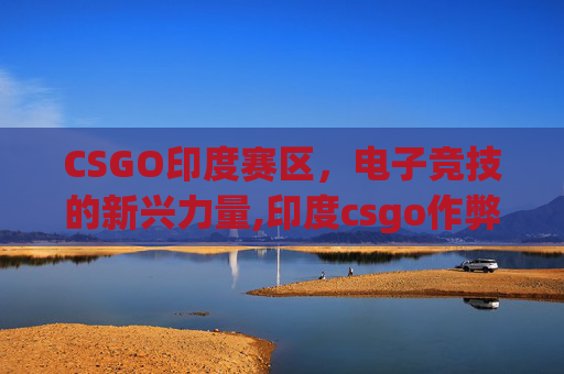 CSGO印度赛区，电子竞技的新兴力量,印度csgo作弊选手