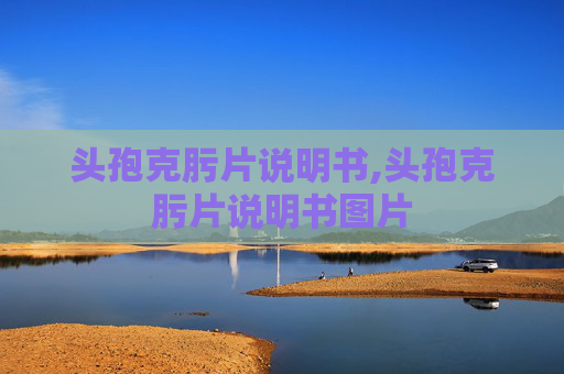 头孢克肟片说明书,头孢克肟片说明书图片