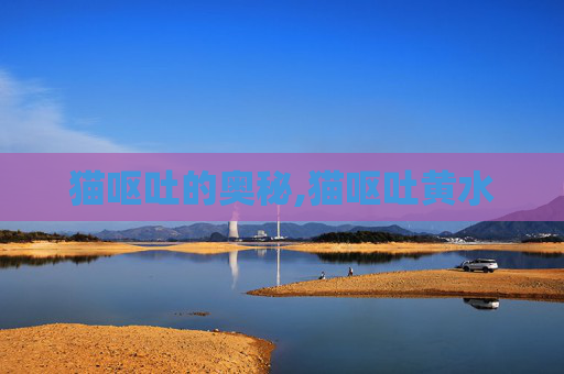 猫呕吐的奥秘,猫呕吐黄水