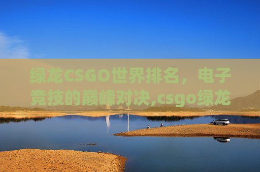 绿龙CSGO世界排名，电子竞技的巅峰对决,csgo绿龙是哪个国家的