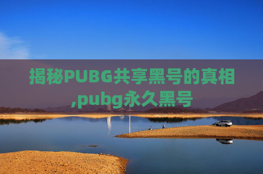 揭秘PUBG共享黑号的真相,pubg永久黑号