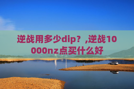 逆战用多少dip？,逆战10000nz点买什么好