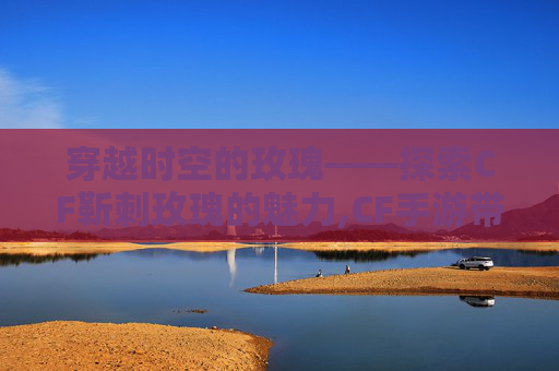穿越时空的玫瑰——探索CF靳刺玫瑰的魅力,CF手游带刺的玫瑰刀战测评