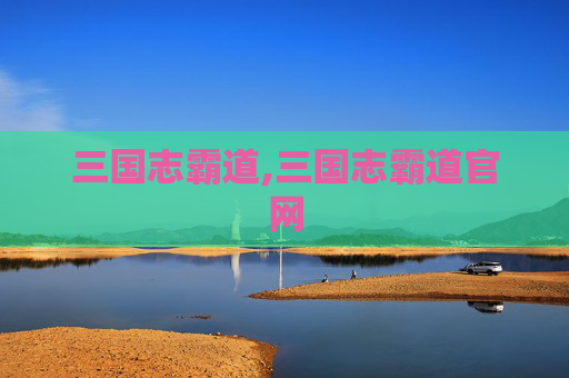 三国志霸道,三国志霸道官网
