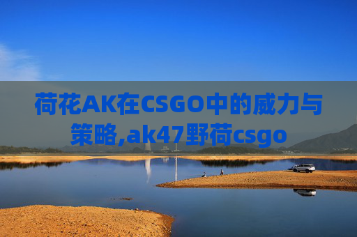 荷花AK在CSGO中的威力与策略,ak47野荷csgo