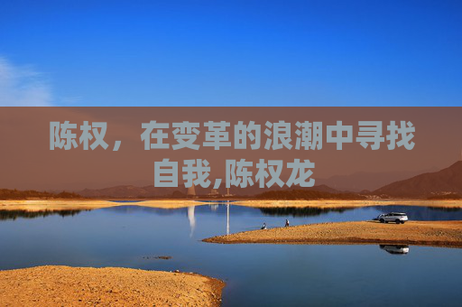 陈权，在变革的浪潮中寻找自我,陈权龙