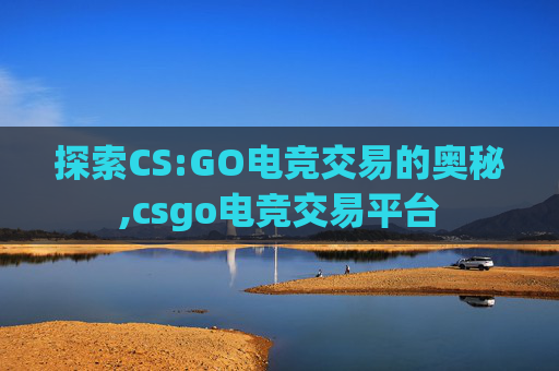 探索CS:GO电竞交易的奥秘,csgo电竞交易平台