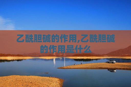 乙酰胆碱的作用,乙酰胆碱的作用是什么