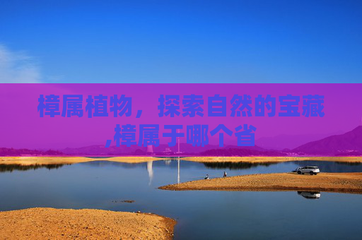 樟属植物，探索自然的宝藏,樟属于哪个省