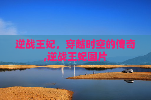 逆战王妃，穿越时空的传奇,逆战王妃图片