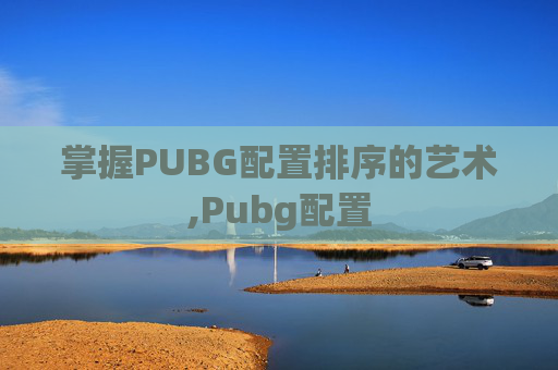 掌握PUBG配置排序的艺术,Pubg配置