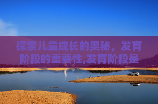 探索儿童成长的奥秘，发育阶段的重要性,发育阶段是几岁到几岁