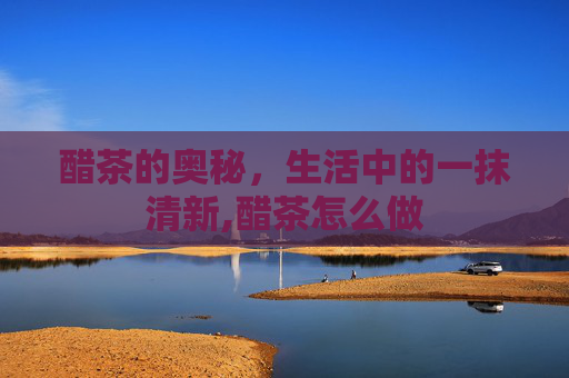 醋茶的奥秘，生活中的一抹清新,醋茶怎么做