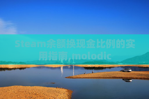 Steam余额换现金比例的实用指南,molodic