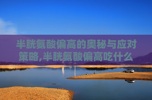 半胱氨酸偏高的奥秘与应对策略,半胱氨酸偏高吃什么药好