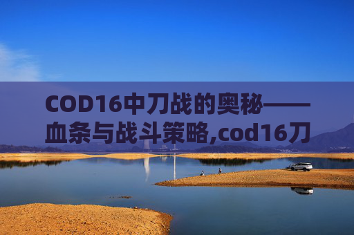 COD16中刀战的奥秘——血条与战斗策略,cod16刀怎么装备