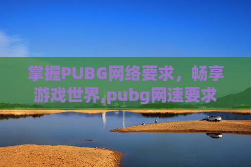 掌握PUBG网络要求，畅享游戏世界,pubg网速要求