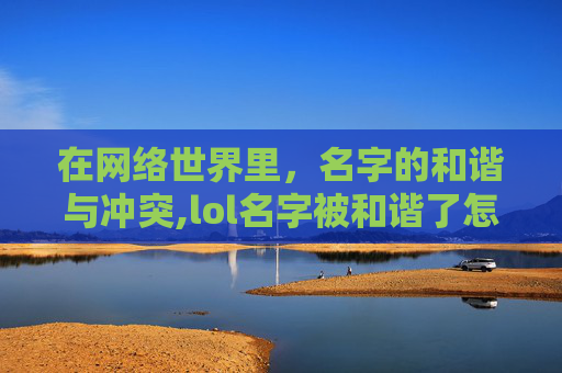 在网络世界里，名字的和谐与冲突,lol名字被和谐了怎么办