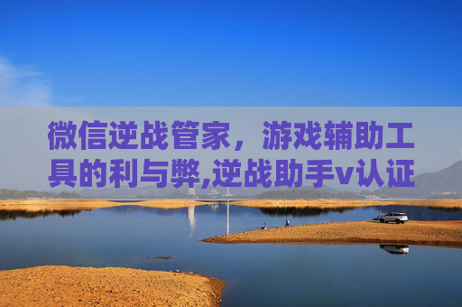 微信逆战管家，游戏辅助工具的利与弊,逆战助手v认证