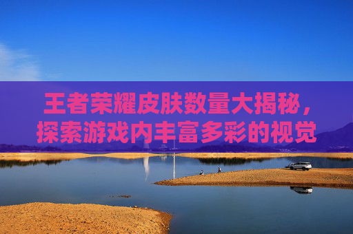 王者荣耀皮肤数量大揭秘，探索游戏内丰富多彩的视觉盛宴,王者荣耀皮肤有多少个?