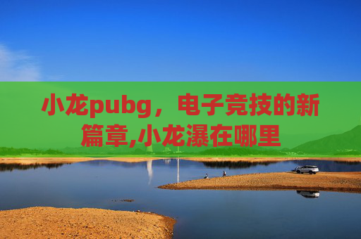 小龙pubg，电子竞技的新篇章,小龙瀑在哪里