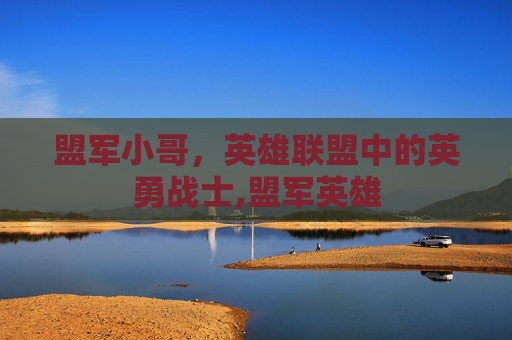 盟军小哥，英雄联盟中的英勇战士,盟军英雄