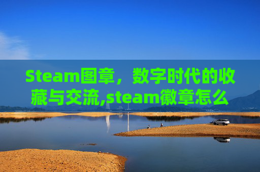Steam图章，数字时代的收藏与交流,steam徽章怎么排序