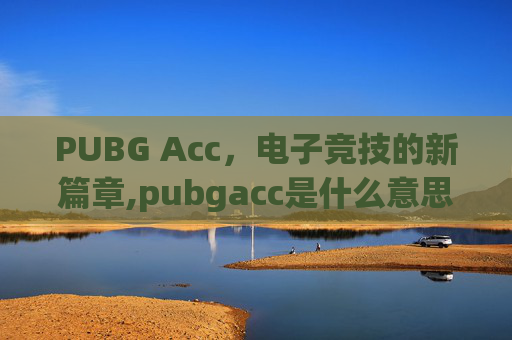 PUBG Acc，电子竞技的新篇章,pubgacc是什么意思