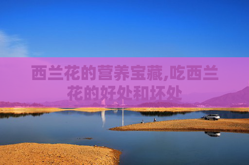 西兰花的营养宝藏,吃西兰花的好处和坏处