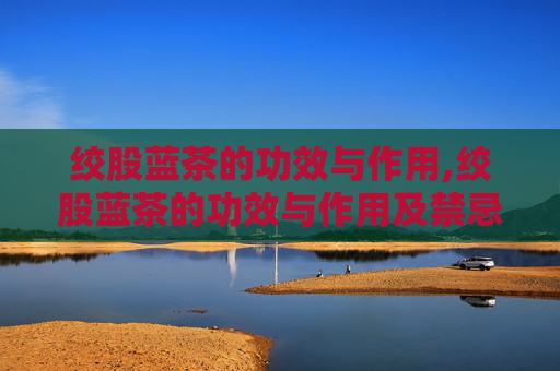 绞股蓝茶的功效与作用,绞股蓝茶的功效与作用及禁忌症