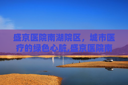 盛京医院南湖院区，城市医疗的绿色心脏,盛京医院南湖院区地址