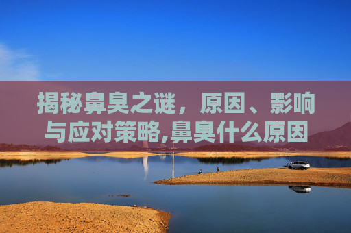 揭秘鼻臭之谜，原因、影响与应对策略,鼻臭什么原因