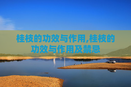 桂枝的功效与作用,桂枝的功效与作用及禁忌