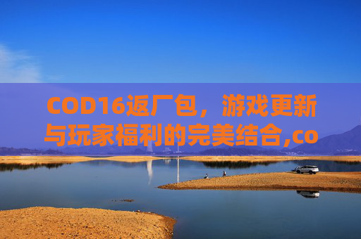 COD16返厂包，游戏更新与玩家福利的完美结合,cod16预购奖励