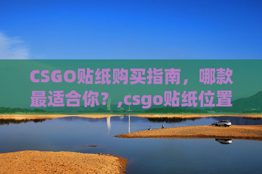 CSGO贴纸购买指南，哪款最适合你？,csgo贴纸位置科普
