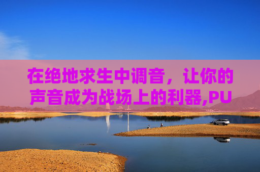 在绝地求生中调音，让你的声音成为战场上的利器,PUBG游戏声卡