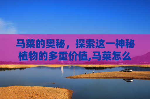马菜的奥秘，探索这一神秘植物的多重价值,马菜怎么做好吃