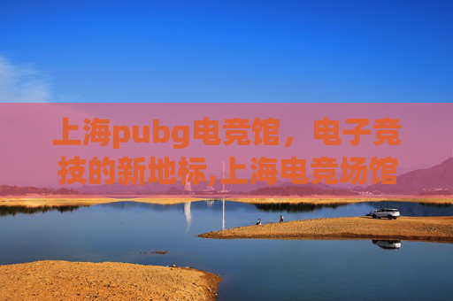 上海pubg电竞馆，电子竞技的新地标,上海电竞场馆