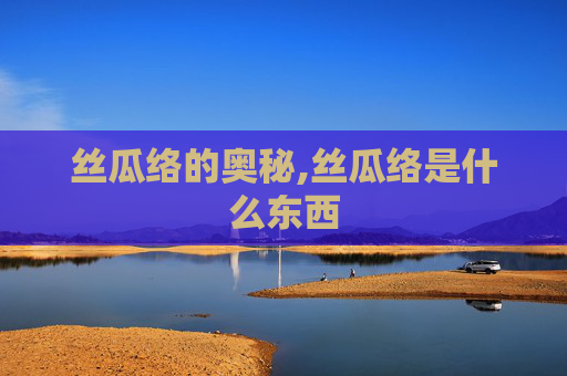 丝瓜络的奥秘,丝瓜络是什么东西