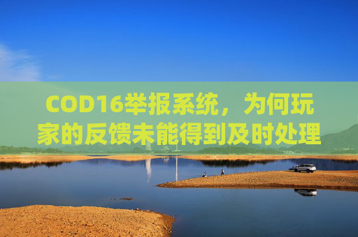 COD16举报系统，为何玩家的反馈未能得到及时处理？,使命召唤怎么知道自己举报的人