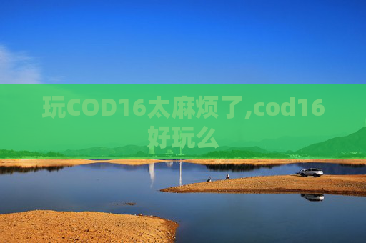 玩COD16太麻烦了,cod16好玩么